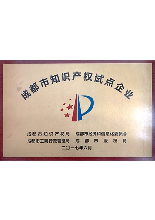 Chengdu Intellectual Property Pilot Enterprise